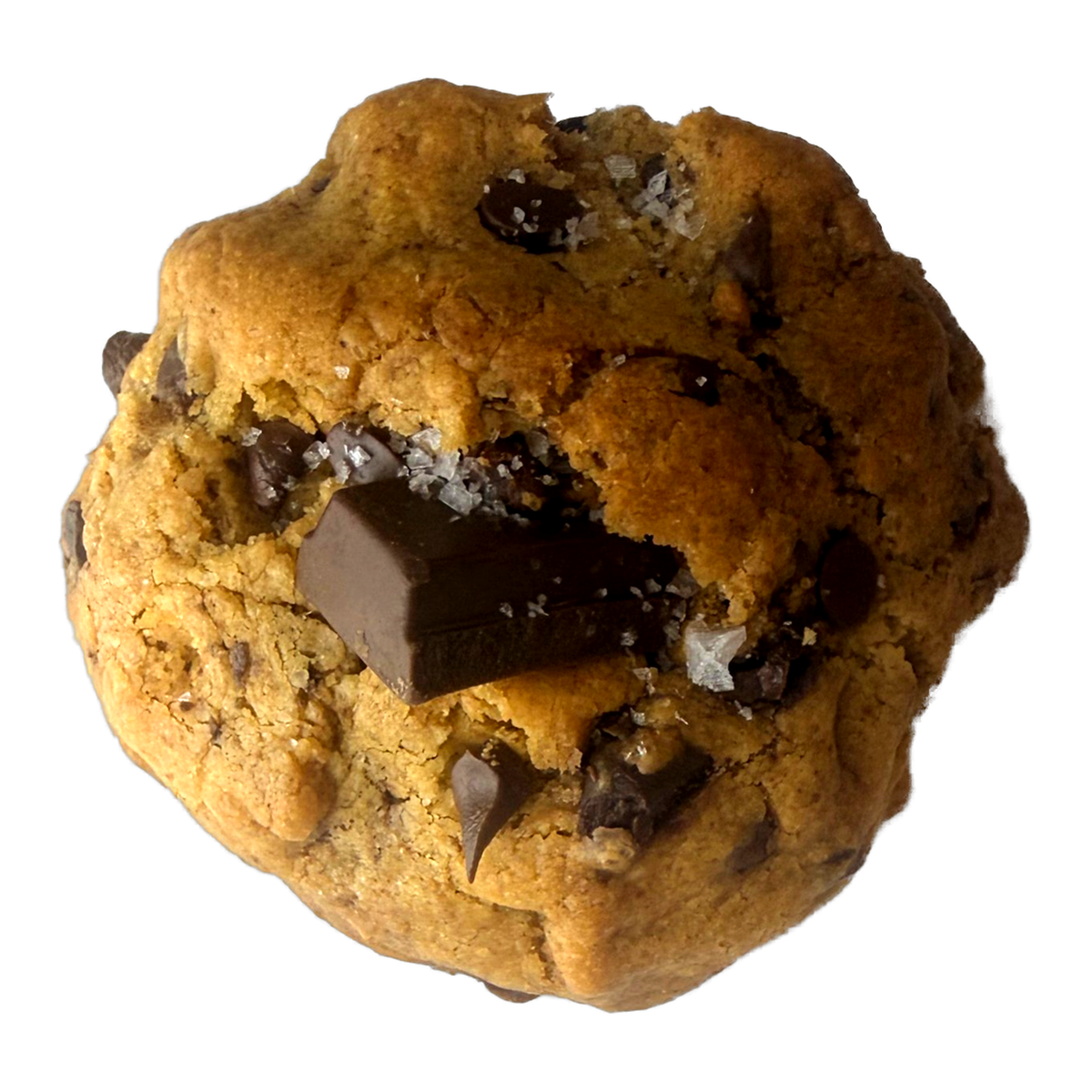 Chocolate Chip