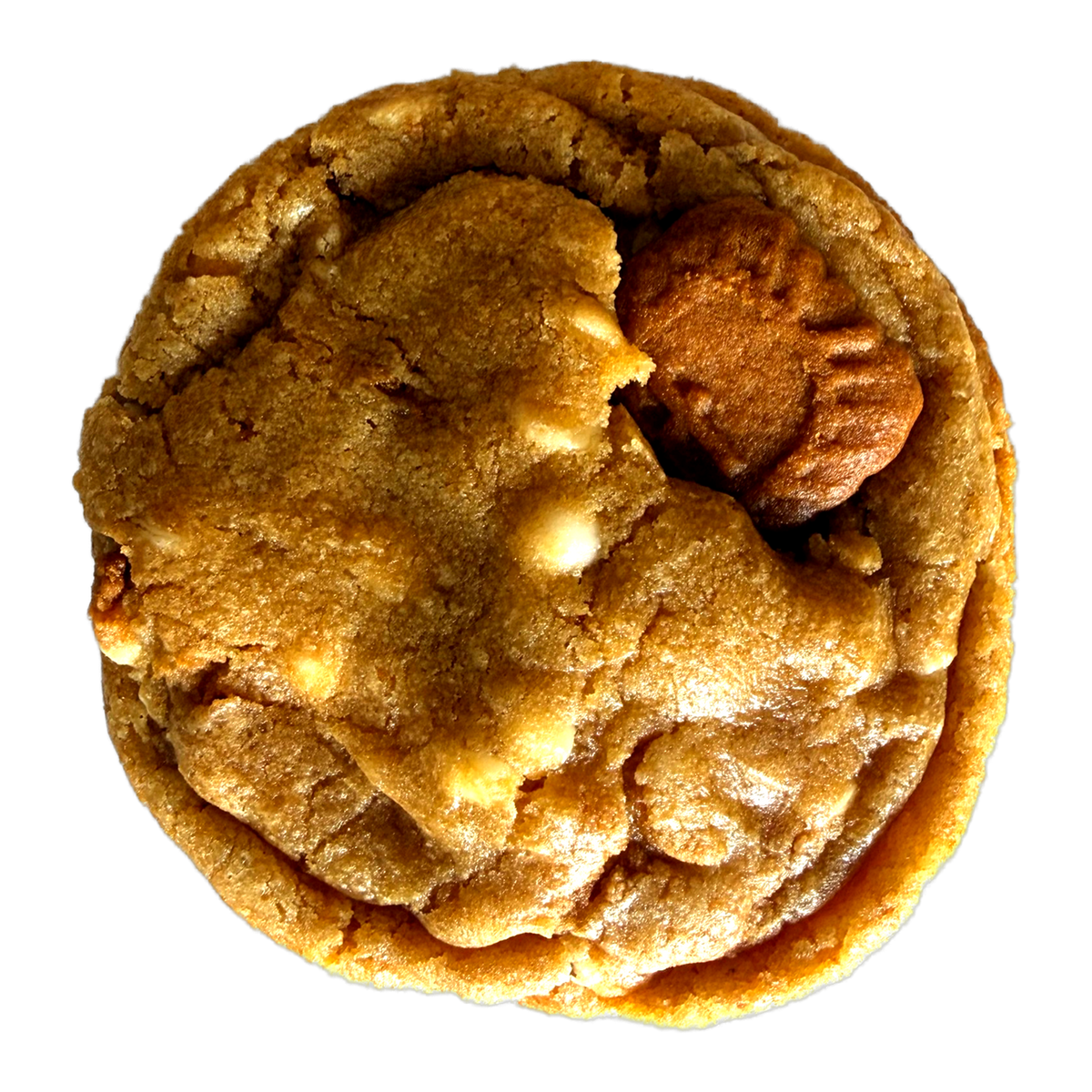Speculoos Uptown